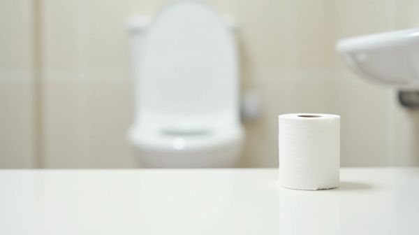 Choisir le papier wc adapté aux grandes collectivités